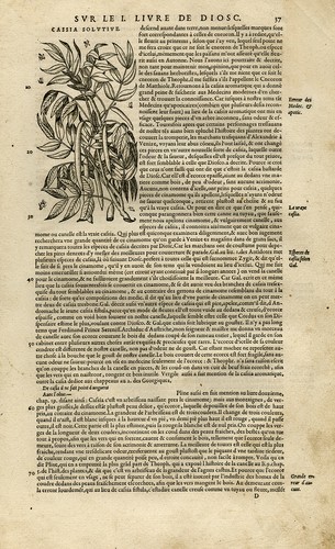 Stampa