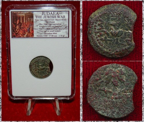 Moneta antica giudea guerra - giudea,
