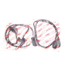 Striscia meteo 2 PORTE