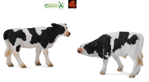Friesian calf pair - calf, of