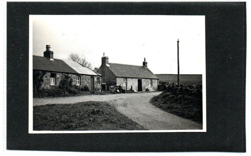 Vintage photograph - , of