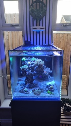 Aqua illumination prime - illumination,