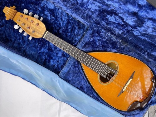 Suzuki mandolino classico 10 - mandolino,