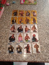 2004 WWE SmackDown Vs Raw Collectible Cards Wrestling Parallel Gold E Silver