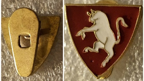 Distintivo calcio torino - distintivo,