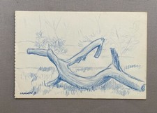 Studio di ramo, disegno