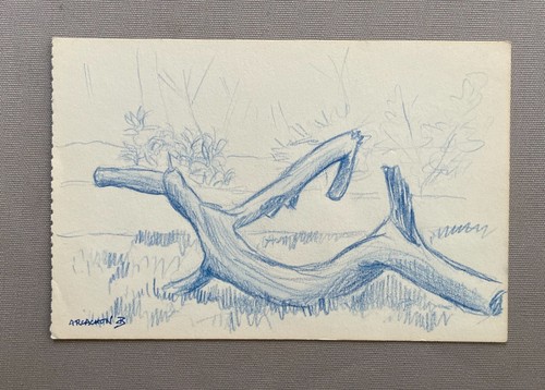 Studio ramo disegno - di,