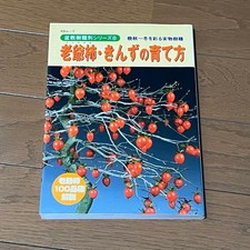 Bonzai Tree Species Series 8