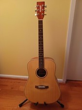 TANGLEWOOD Discovery TD8-G