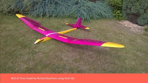 Bird time campata rc - of, 3m