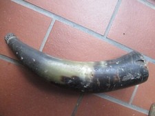 ANTICO GRANDE CORNO PER POLVERE DA SPARO DA CACCIA MISURE CM. 27 EPOCA 1800