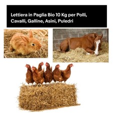 Lettiera paglia depolverata - paglia,