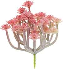 Mini Artificiali Piante Grasse