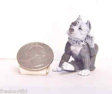 Cane pitbull bianco naso blu