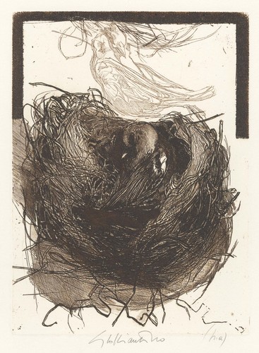 Soffiantino giacomo il nido - soffiantino, "