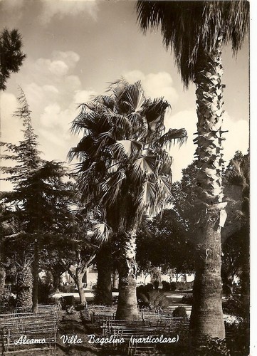 Alcamo villa bagolino - ,