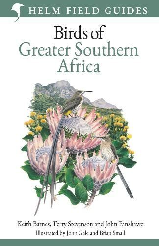 Field guide birds - to,