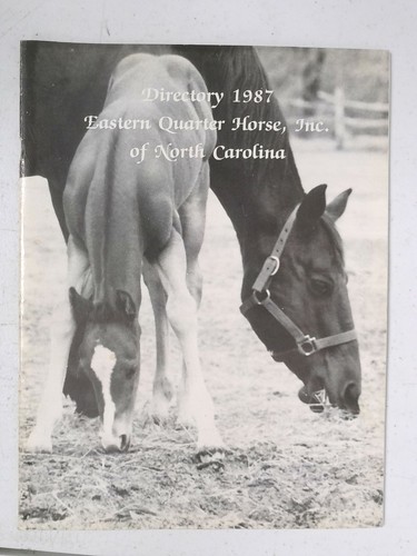 Eastern quarter horse - quarter,