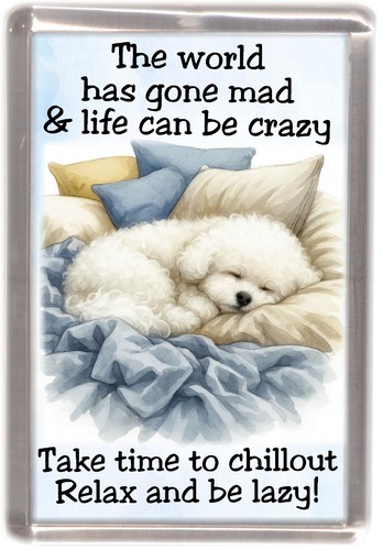 Calamita frigo per cani - , bichon