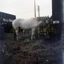 1956 Mills Bros Circus -