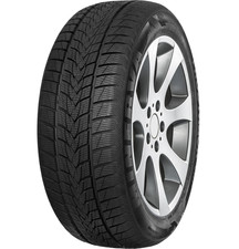 MINERVA FROSTRACK UHP 255/35