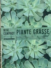 MINI COMPACT PIANTE GRASSE