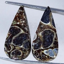 Coppia fossili di agata