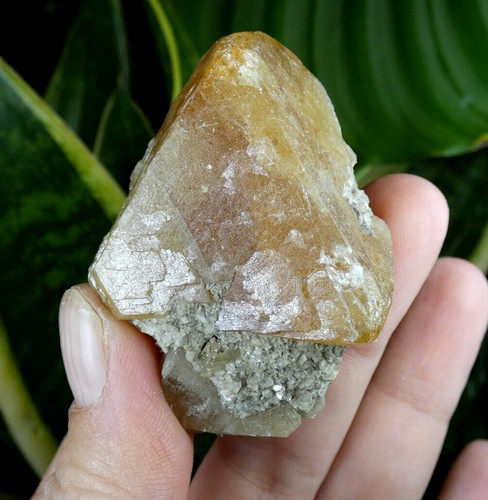Scheelite octaèdre - scheelite, en