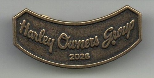 Harley davidson pin - davidson, h.o.g.
