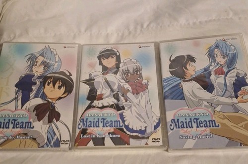 Hanaukyo maid team verite - team,