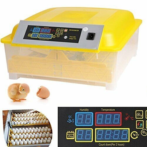 Incubatrice automatica uova