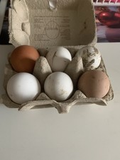 Uova Feconde, Fertili Miste