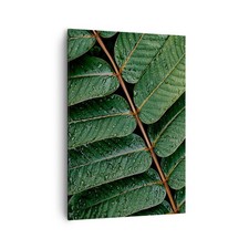 Quadro su Tela 70x100cm Gocce