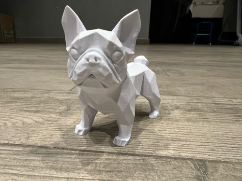 Bulldog francese - bulldog,