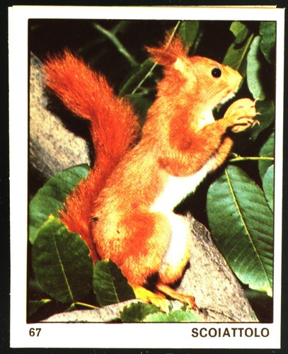 Mondo degli animali - mondo, (1970)
