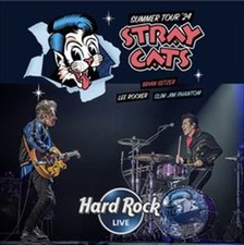 GATTI RANDAGI / HARD ROCK LIVE