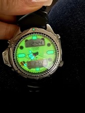 Citizen Aqualand Promaster