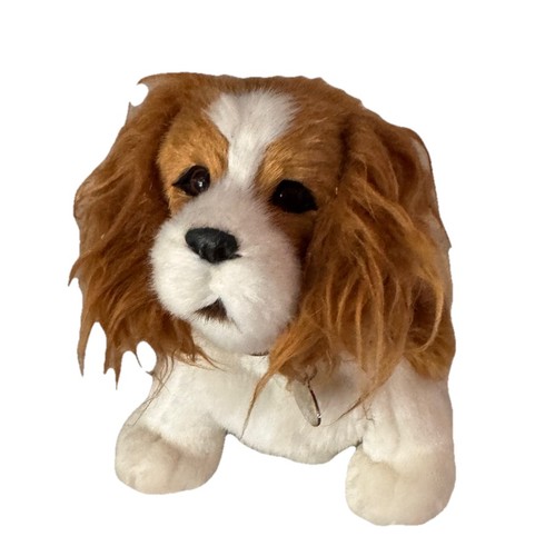 Adorabili sweet pets cavalier - adorabili,
