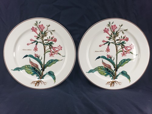 Villeroy boch botanica 12 - &, 12"