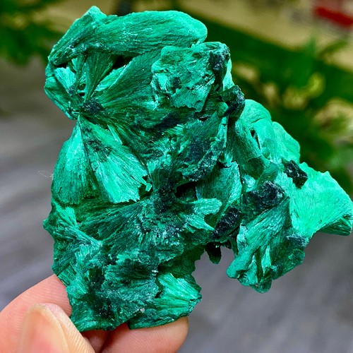 65g malachite lucida - malachite, naturale