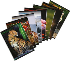 Animal maxi quaderno formato - animal,