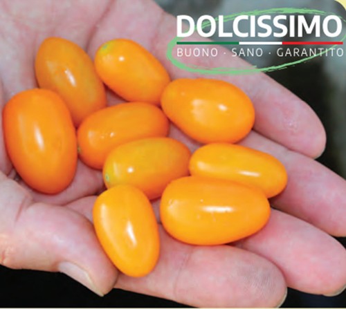 Semi seeds pomodoro - /,