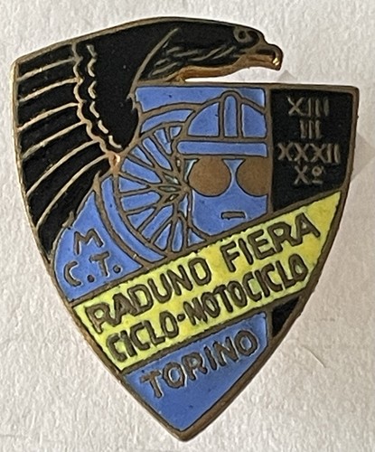 Distintivo pnf ond torino - distintivo,