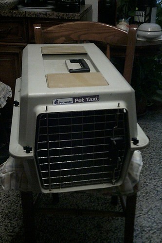Trasportino pet mate taxi - trasportino, mate-pet