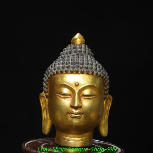 Busto testa buddha - buddha, 7"