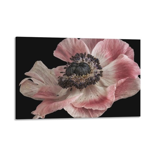 Quadro stampa tela con - quadro,