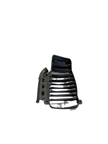 Griglia protezione radiatore - griglia,
