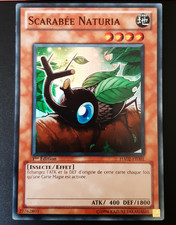 Scarabée Naturia HA02-FR001
