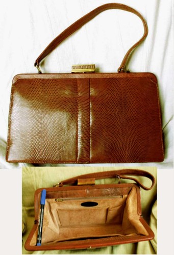 Splendida lucertola borsa - lucertola,