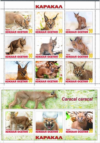 Foglio francobolli blocco - foglio, +